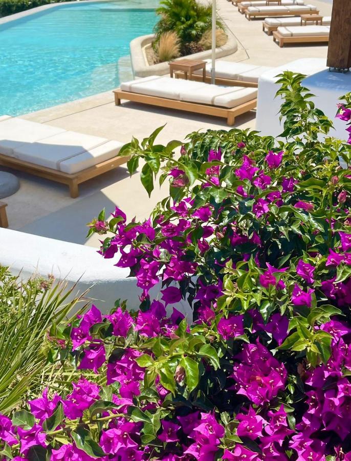Hotel Aegon Retreat à Mykonos Town Extérieur photo